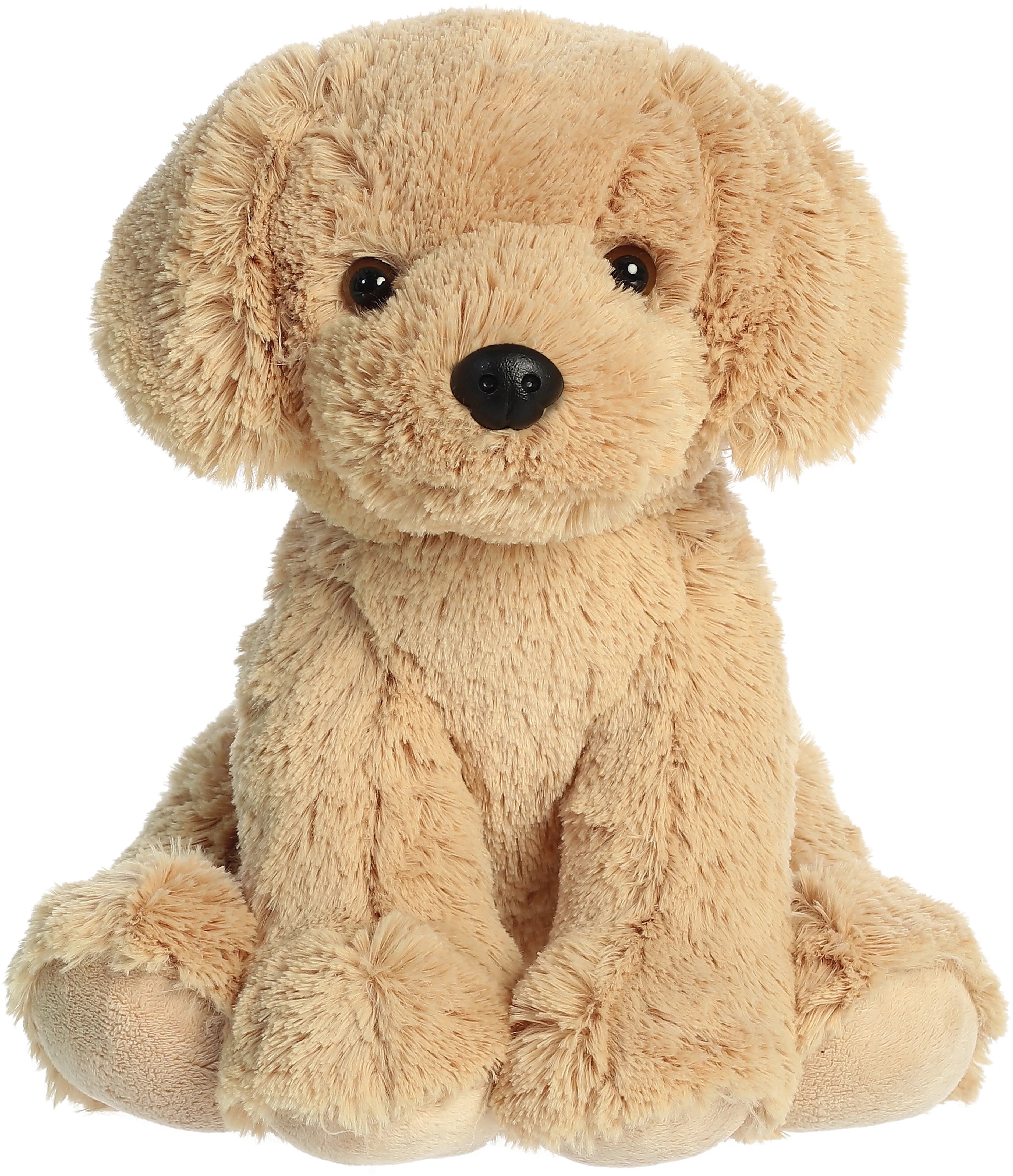50272GoldenLab.webp