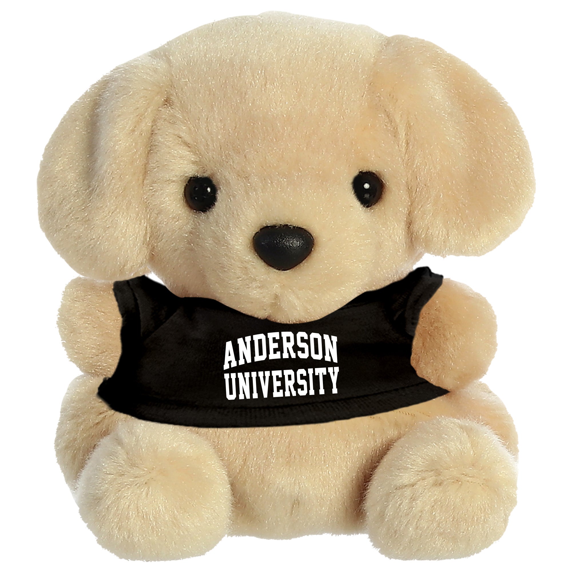 Aurora Palm Pals | Lab