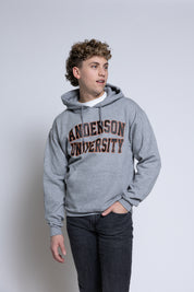Person wearing a gray hoodie with 'Anderson University' text on a plain background