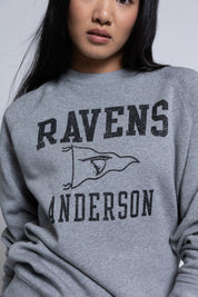 Person wearing a gray sweatshirt with 'RAVENS ANDERSON' printed on it against a plain background