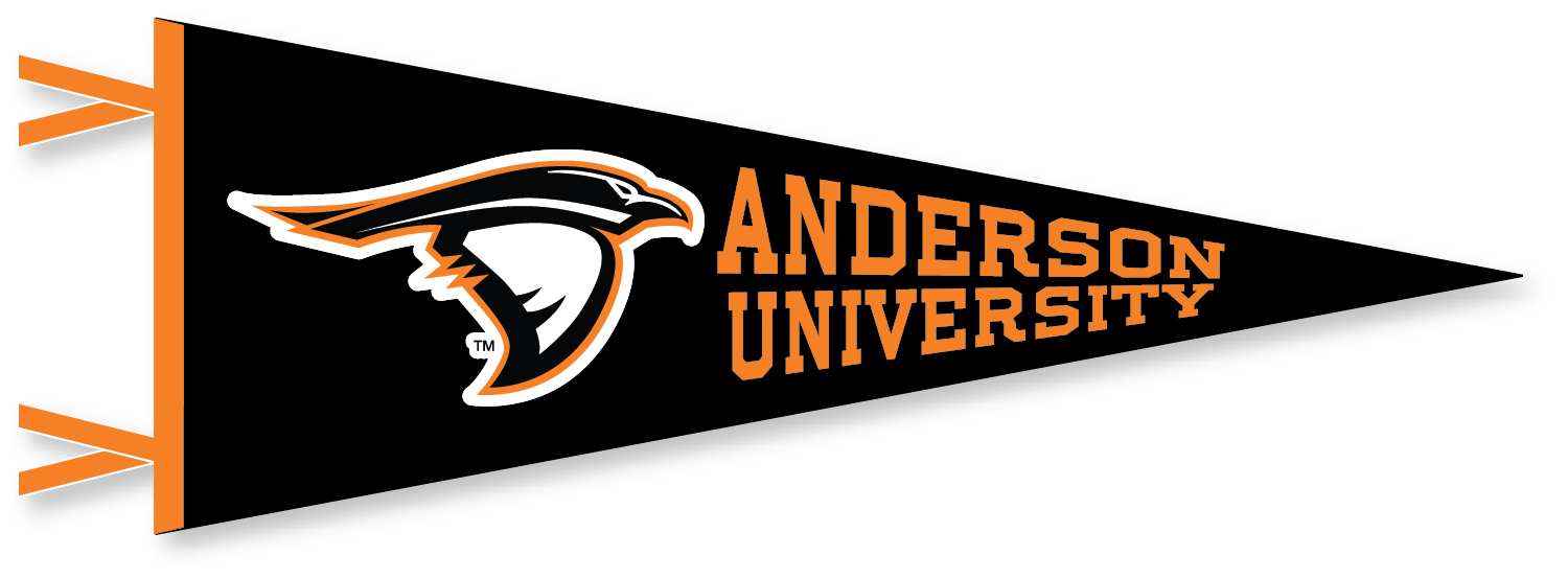 9x24 Pennant by Collegiate Pacific